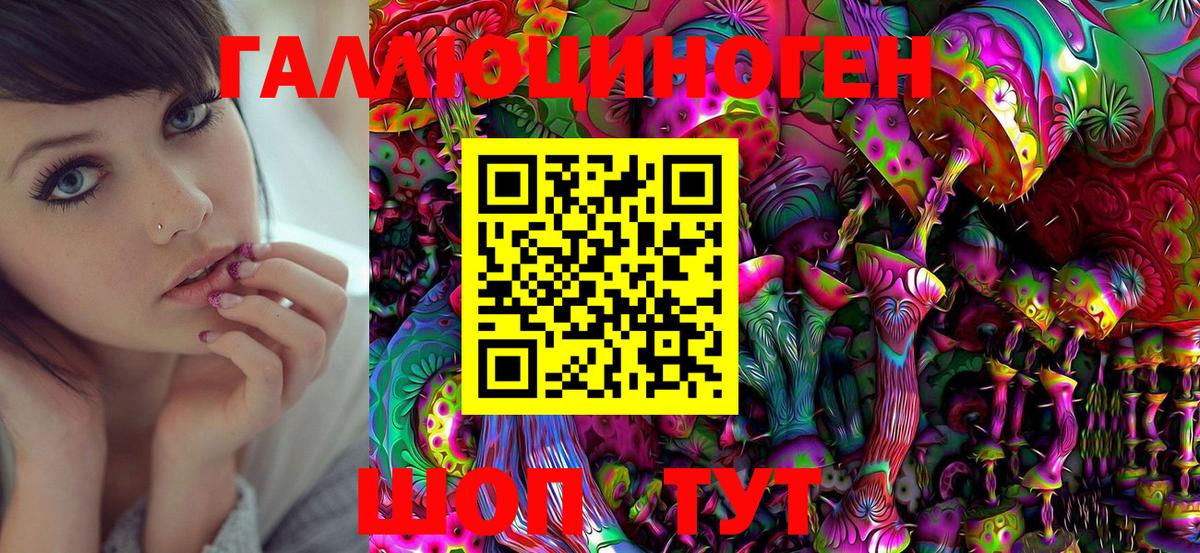 Галлюциногенные грибы Psilocybine cubensis  Вход с VPN  Татарск 
