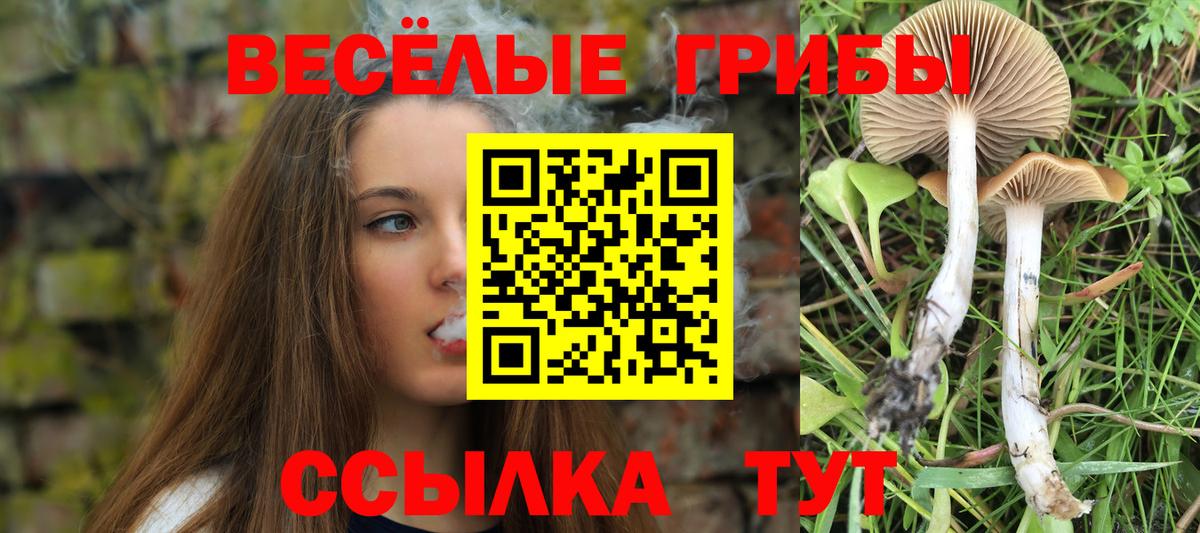 Галлюциногенные грибы прущие грибы Татарск